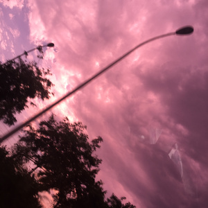 最新肉丝袜福利在线观看
