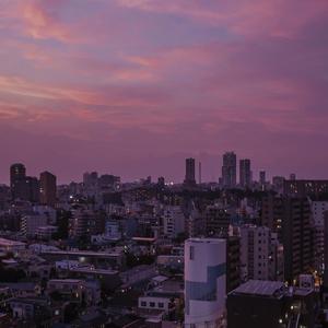 最新肉丝袜福利在线观看
