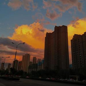 最新肉丝袜福利在线观看
